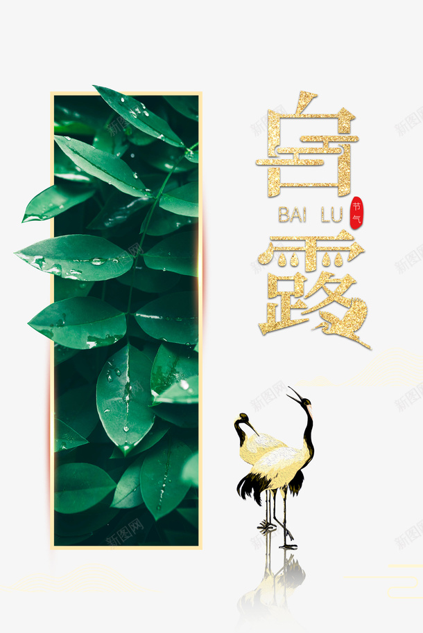 白露秋天树叶丹顶鹤二十四节气psd免抠素材_88icon https://88icon.com 丹顶鹤 二十四节气 树叶 白露 秋天