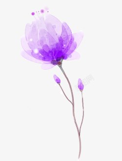 紫色鲜花手绘素材