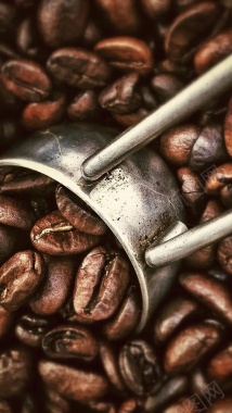 咖啡豆质感文艺摄影H5背景背景