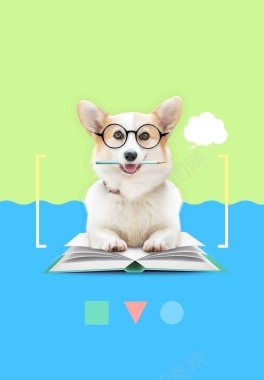 戴着眼镜的可爱宠物狗海报背景