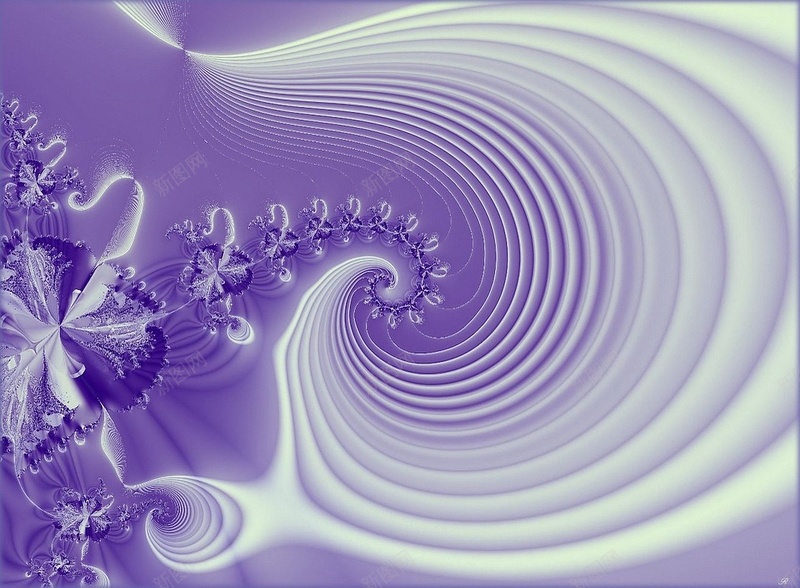 紫色螺旋花纹背景jpg设计背景_88icon https://88icon.com 几何 紫色 花朵 花纹 螺旋 植物 质感 简约 海报 背景