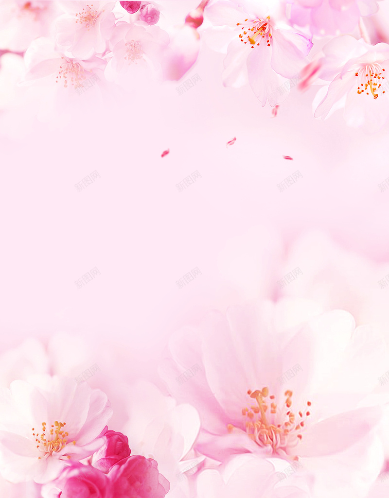 粉色清新浪漫桃花美妆背景psd设计背景_88icon https://88icon.com 唯美 桃花 桃花节 浪漫 清新 简约 粉色 美妆背景