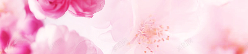 粉色清新浪漫桃花美妆背景psd设计背景_88icon https://88icon.com 唯美 桃花 桃花节 浪漫 清新 简约 粉色 美妆背景