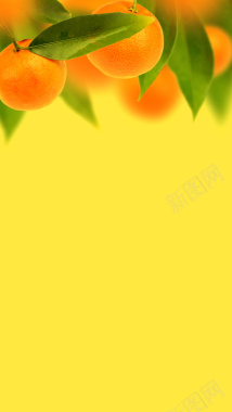 橙子H5背景背景