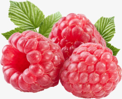 红色水果野生草莓素材