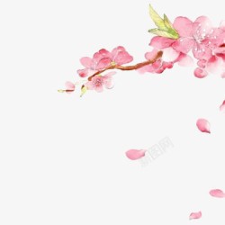 粉色花朵手绘花瓣飞舞素材