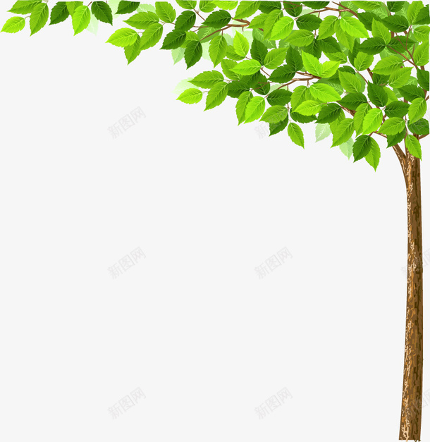 绿色叶子的小树png免抠素材_88icon https://88icon.com 树叶 树干 树枝 点缀 绿树