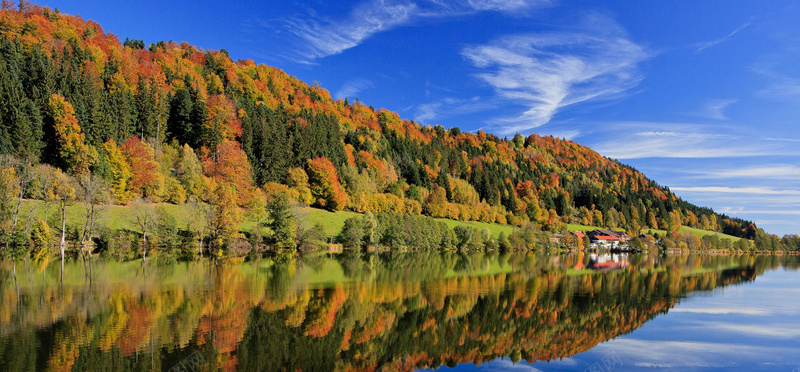 森林倒影海报背景jpg设计背景_88icon https://88icon.com 淘宝海报 天猫海报 海报素材 男装 女装 活动背景 森林 倒影 海报banner 摄影 风景