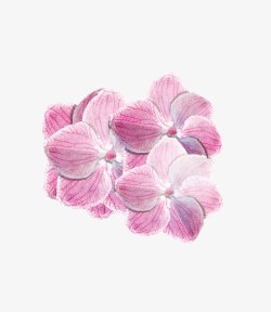 超唯美清新森系手绘粉色花朵素材