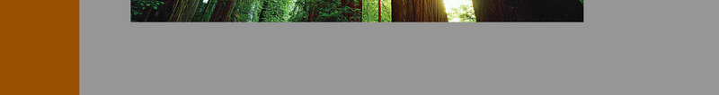 简约木材销售灰色背景psd设计背景_88icon https://88icon.com 加工 咖啡色 定做 宣传 手册 木材 木质 灰色 画册 简约 背景 销售