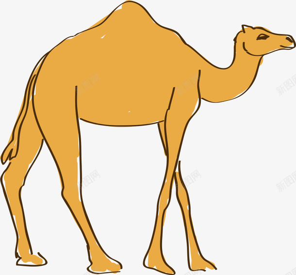 手绘卡通骆驼png免抠素材_88icon https://88icon.com 动物 卡通动物 卡通骆驼 手绘骆驼 骆驼