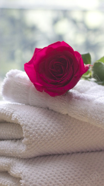 毛巾上的玫瑰H5背景背景