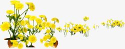 田野植物黄色卡通花朵素材