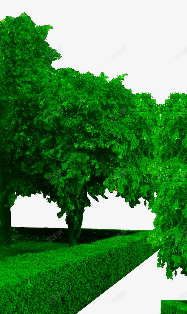 园林景观png免抠素材_88icon https://88icon.com 园林设计 盆景 绿色 透明
