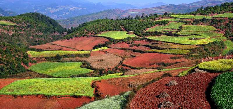 艳丽梯田自然风景bannerjpg设计背景_88icon https://88icon.com 艳丽 梯田 自然 风景 唯美 海报banner 摄影