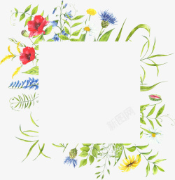 花朵绿叶边框手绘植物手绘边框素材