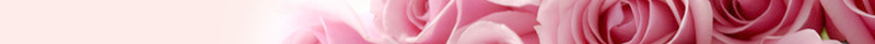 三八妇女节玫瑰海报背景素材jpg设计背景_88icon https://88icon.com 38女王节 38妇女节宣传 三八妇女节展板 三八易拉宝 女人节 展板 晚会 母亲节 海报 粉色玫瑰 舞台 节日素材 花朵