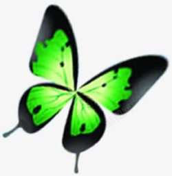创意合成飞舞的绿色的花蝴蝶素材