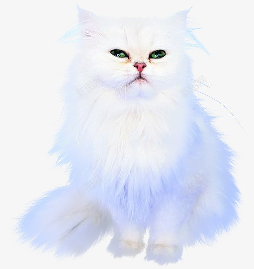 可爱的一只猫psd免抠素材_88icon https://88icon.com 可爱 宠物 毛茸茸 猫咪