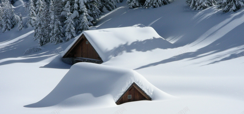 雪后风景jpg设计背景_88icon https://88icon.com 雪树 雪屋 松树 大气 摄影雪景 被雪覆盖的树 海报banner 摄影 风景