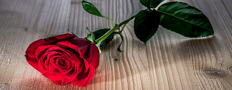 浪漫红色玫瑰木质纹理背景背景