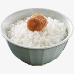 酸梅米饭素材