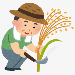 农民伯伯在田间用镰刀割稻谷素材