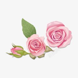 手绘粉色玫瑰花图案素材