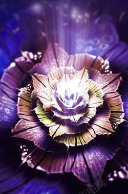 紫色大气花卉纹理背景