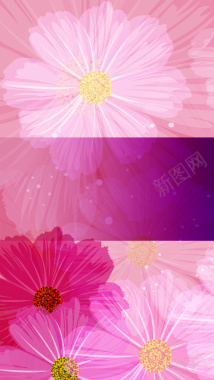 粉色清新花卉H5背景背景