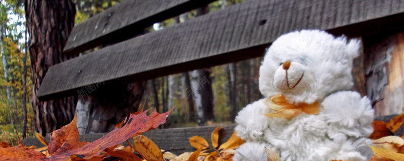 秋季森林小熊背景背景