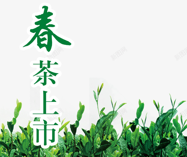 春茶海报psd免抠素材_88icon https://88icon.com 促销 新品 海报 茶