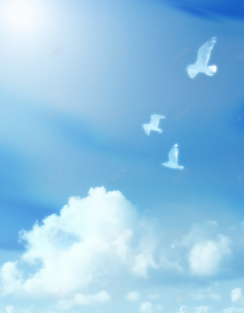 蓝天白云和平鸽背景jpg设计背景_88icon https://88icon.com 和平鸽 商务 白云 科幻 科技 蓝天 蓝色