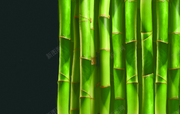 绿色竹子质感背景背景