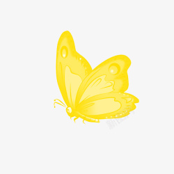 蝴蝶点缀漂亮的黄色蝴蝶高清图片