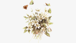 手绘水彩花卉蝴蝶装饰图案素材