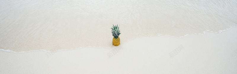 摄影海滩上的菠萝背景背景