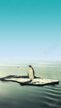 漂浮在海上孤独的企鹅背景
