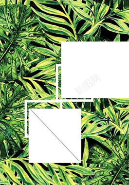 热带植物海报背景背景