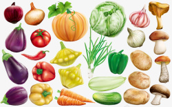 秋季蔬菜秋天丰收节收获蔬菜瓜果高清图片