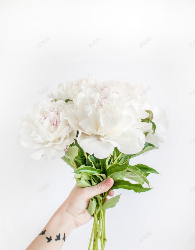 一束白色的花jpg设计背景_88icon https://88icon.com 手持 白色 背景 花朵