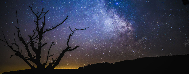 星空树夜景远方背景