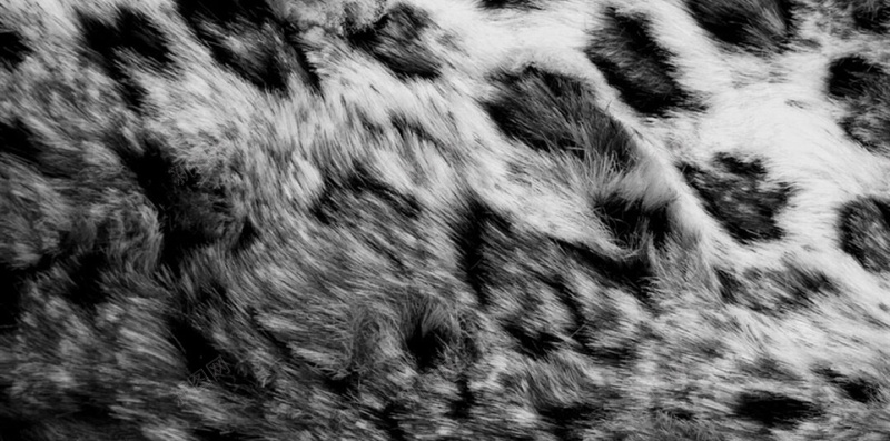 皮草静物H5背景jpg设计背景_88icon https://88icon.com H5 H5背景 h5 皮 皮草 豹皮背景 静物 高清 黑色