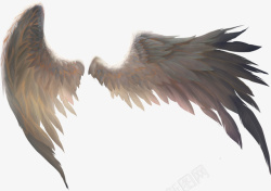 天使与魔鬼超清楚天使的翅膀高清图片