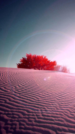 红色沙子沙漠风景H5背景高清图片