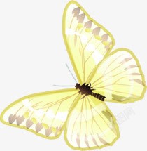 春天黄色光效蝴蝶动物素材