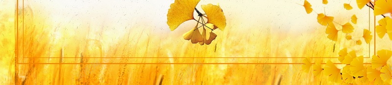 小清新遇见秋天新品上市psd设计背景_88icon https://88icon.com 150PPI PSD源文件 九月你好 你好秋天 八月你好 分层文件 初秋 平面设计 换新季 新品上市 树叶 清新 秋天促销 秋天来了 秋日私语 秋装上新 秋韵