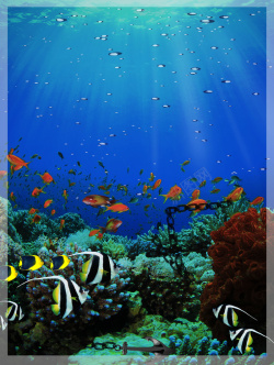 鱼儿海底世界海底世界海报背景高清图片