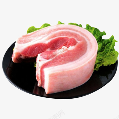 猪肉五花肉图标图标