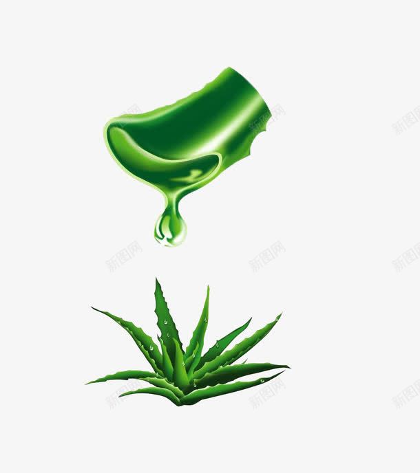 芦荟png免抠素材_88icon https://88icon.com 绿色 芦荟 芦荟胶